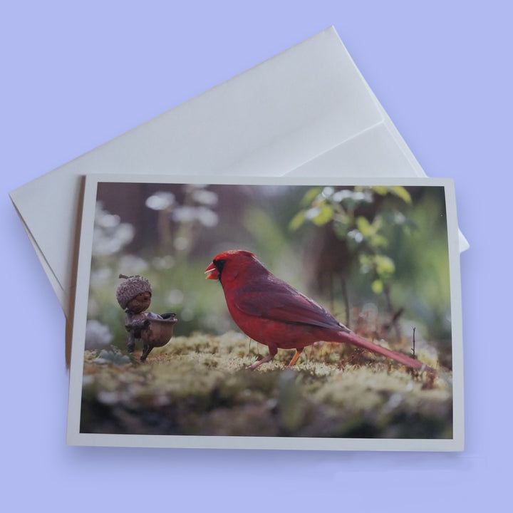 Cards by David M Bird