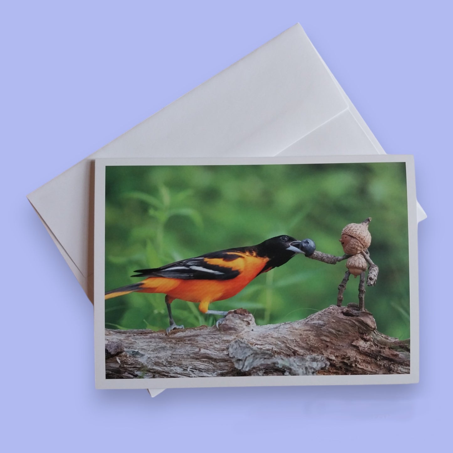 Cards by David M Bird
