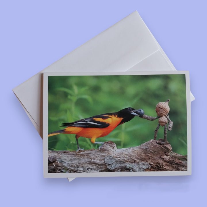 Cards by David M Bird