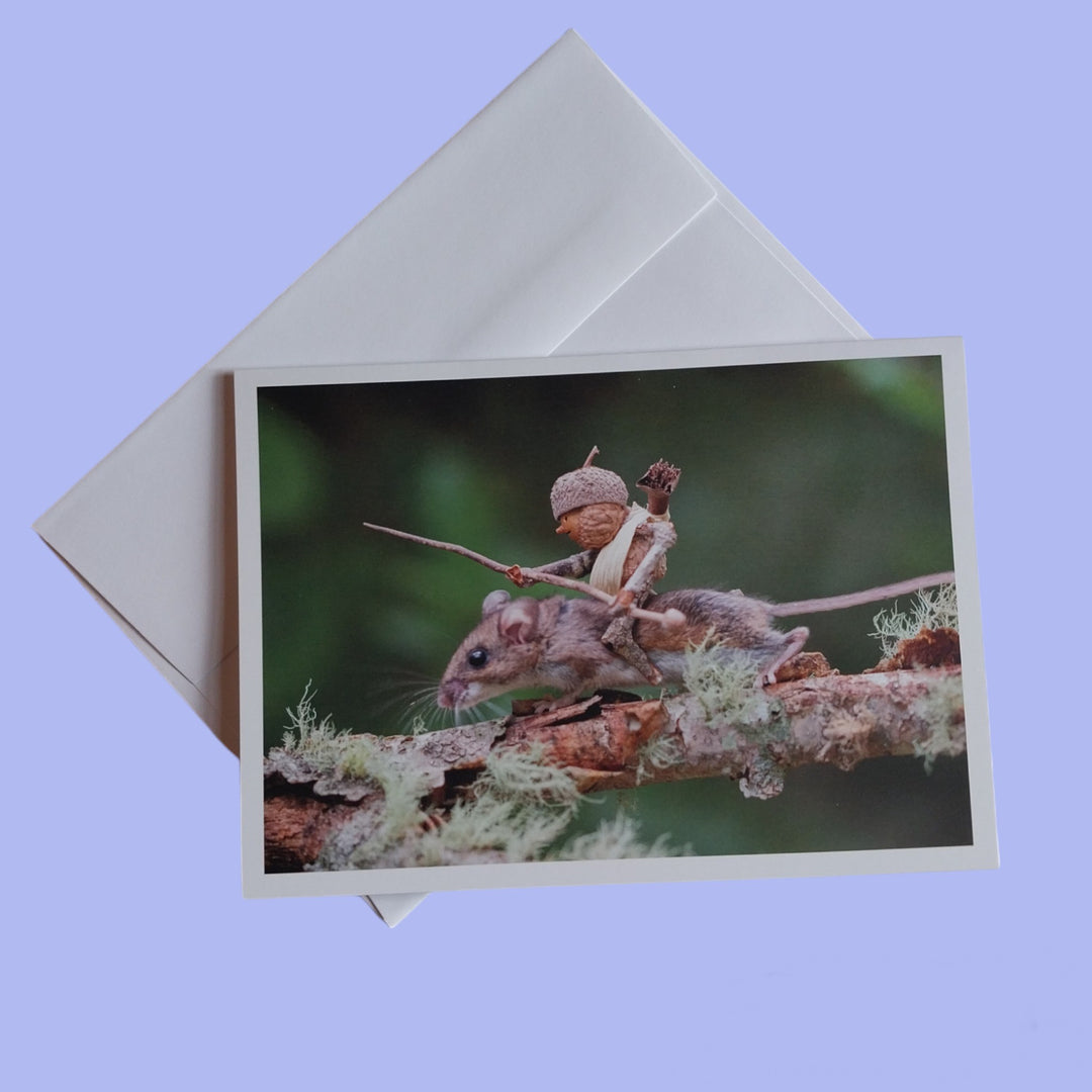 Cards by David M Bird