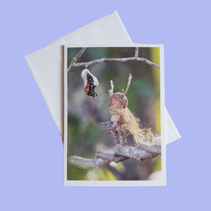 Cards by David M Bird