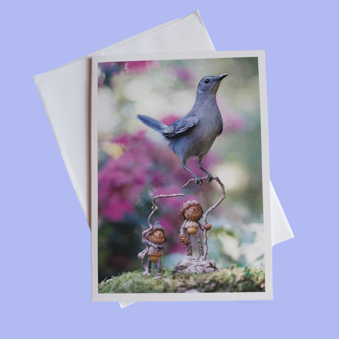 Cards by David M Bird