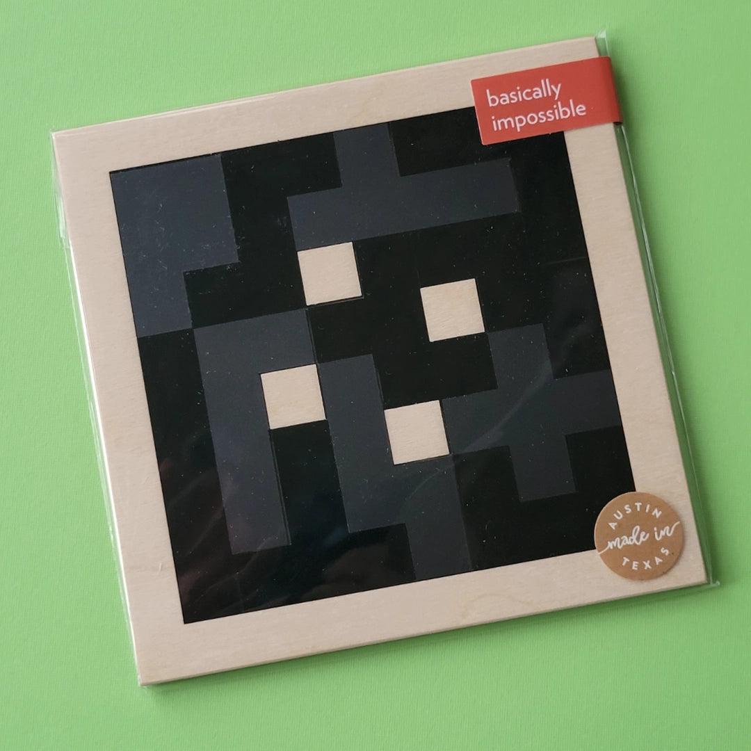 Pentomino Puzzles by Bright Beam Goods