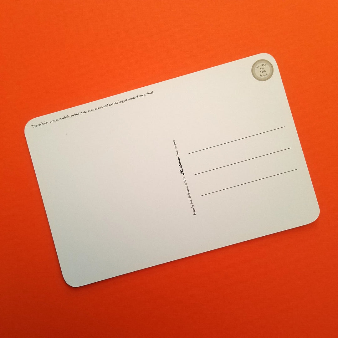 Postcards by Huetown