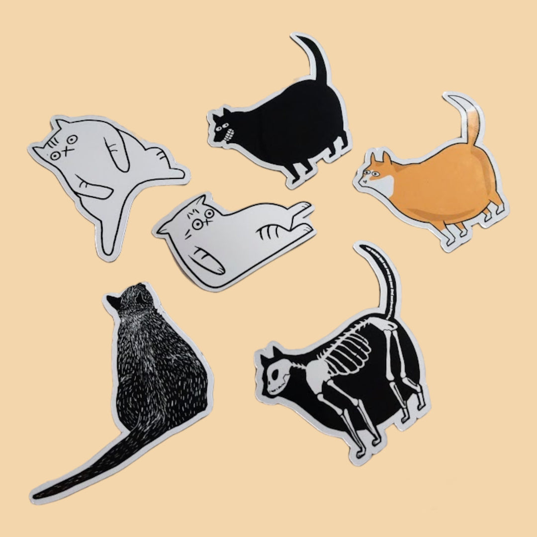 Cat Magnets